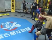 十大品牌自行车排行榜一览表奥特曼格斗传说f1狂飙飞车