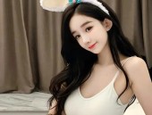 数据分析CSGO综合格斗团队介绍篮球数据分析网站